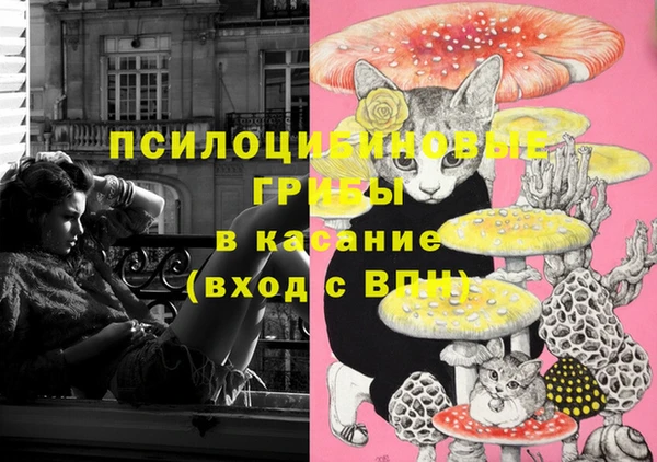 COCAINE Верея