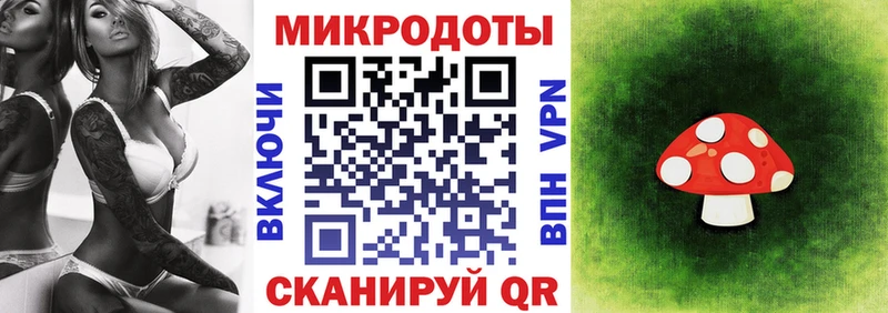 блэк спрут ссылка Мантурово Галлюциногенные грибы GOLDEN TEACHER